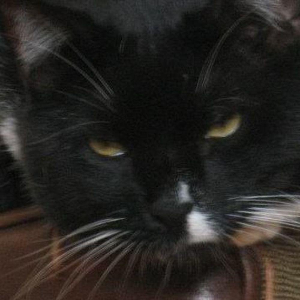 Meet your Posher, Carl